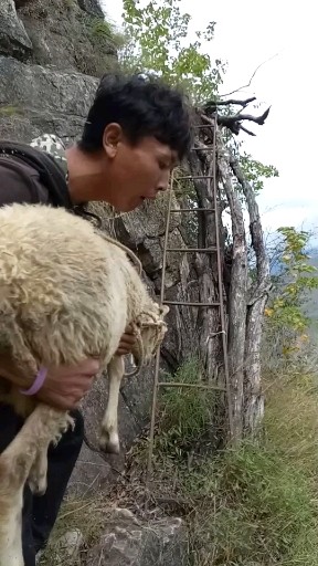 悬崖村老路的生活