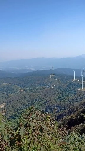 大山里的风景