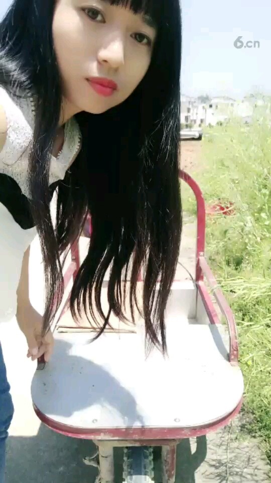 老司机