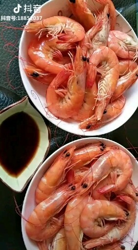 ❥ 鲜活水白虾…😊