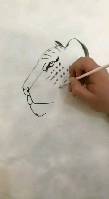 雪豹