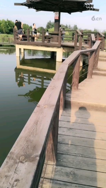 游园