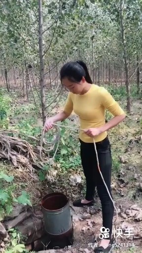 孟婆的碗