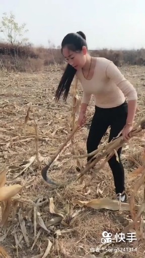 来生愿做一朵莲