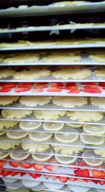 95后宝爸用双双创造财富