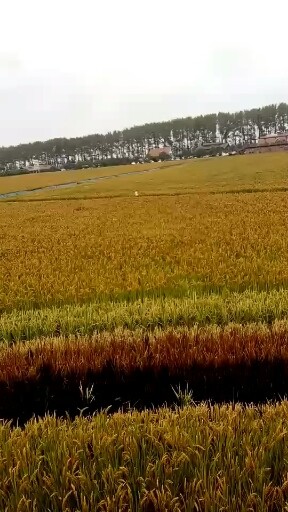 沈阳盗梦空间