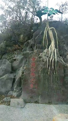 山参之乡中国桓仁