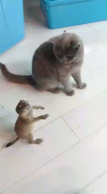 我