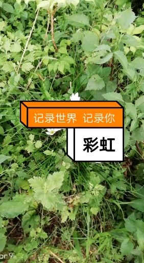 美丽的四川