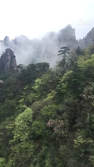 五一安徽黄山旅行