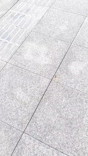 我们家乡的大桥