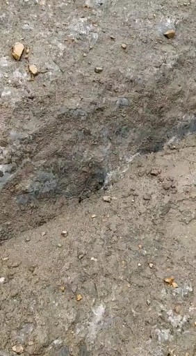第一次看到冰川是蓝色蓝色哟