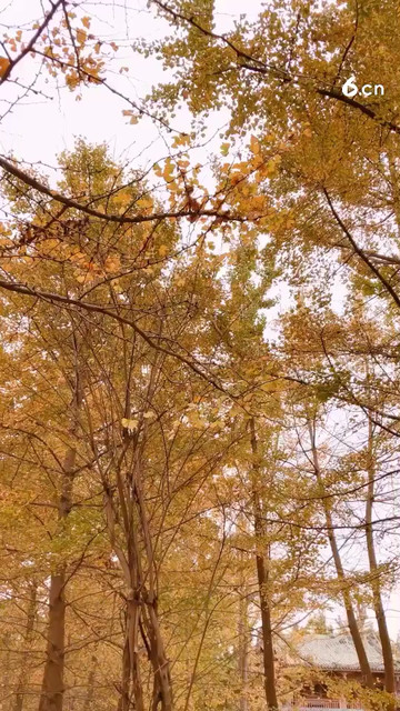 开了一千公里，结果只看到😱