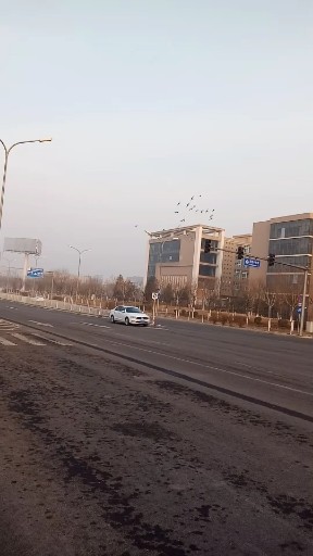 训练