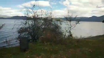 情人摊的风景