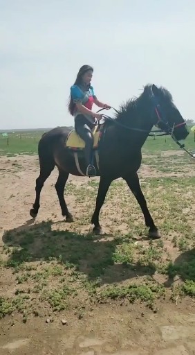 马🐴背上的蒙古小女人