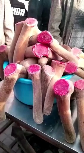 鹿茸