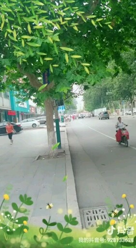 （生活中摸爬滚打）为给你最好的