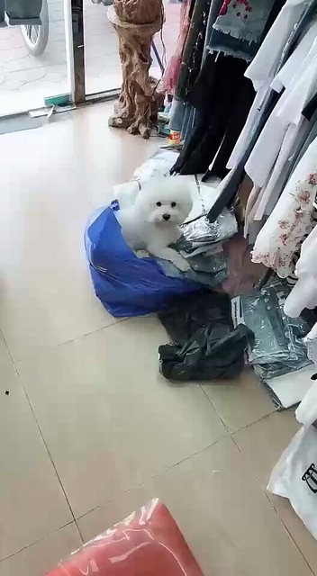 专业看货20年😂😂😂