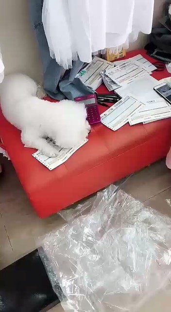 看看我家豆豆小馋样