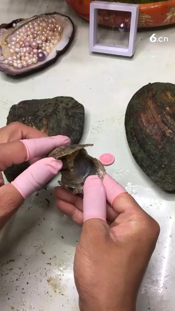 海水小灯泡