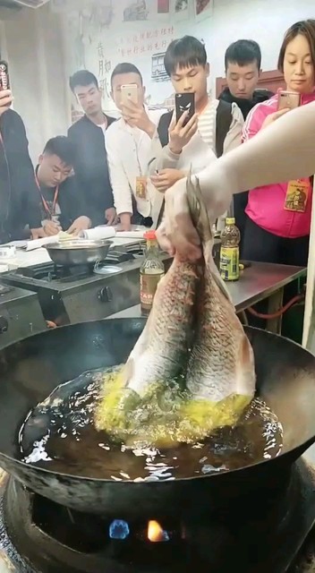 来吃鱼！