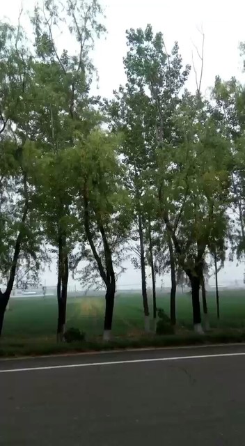 山西运城新绛小聂村席根柱