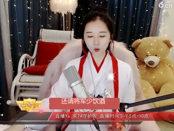 我的将军