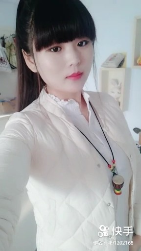 飞蛾扑火