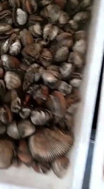 …