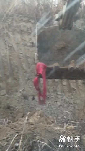 晃摇