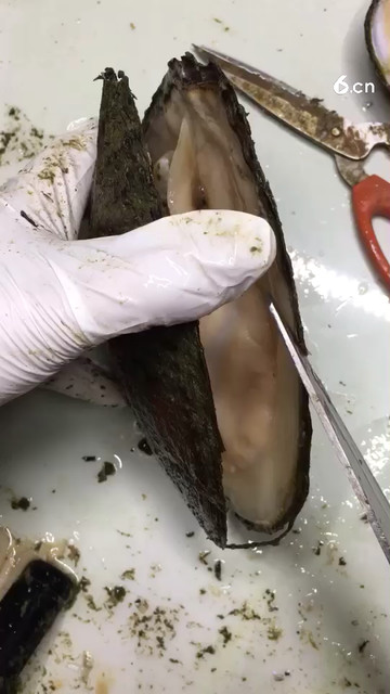 哇塞真好看
