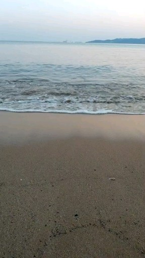 海