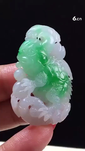 带色蜥蜴
