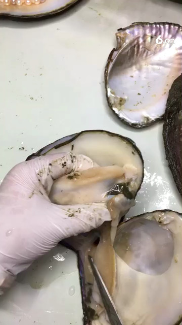 实在妖紫好看