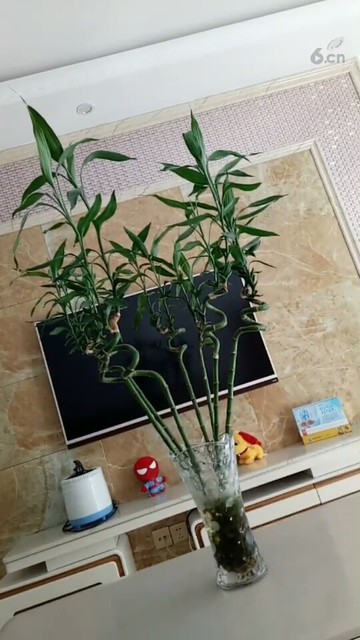 美吗