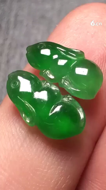 阳绿兔子2，种4100