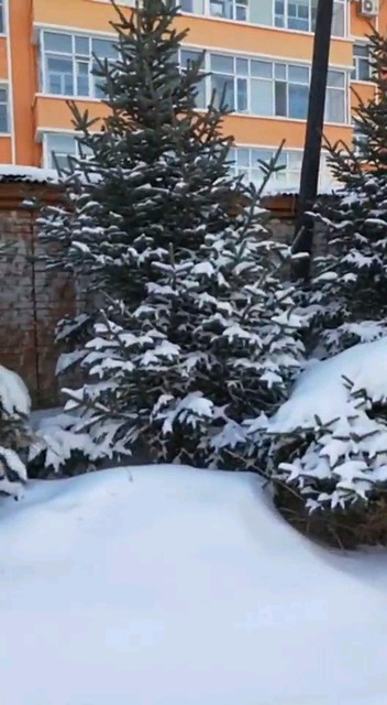 雪景