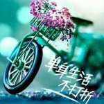 只宠伱伊人的头像