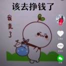 断雁孤鸿s