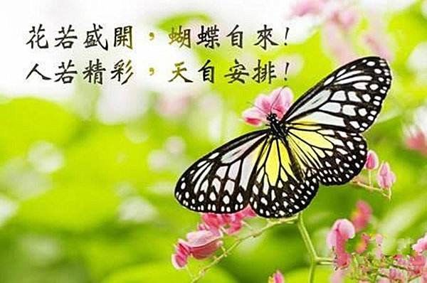 我行我素か爱谁谁的主播照片