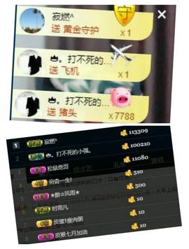 皮猴不播了主播照片