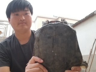 平凡的人生路的主播照片
