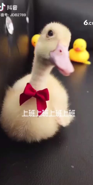 上班上班上班下班下班有完没完…