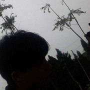 AA我爱吃土豆