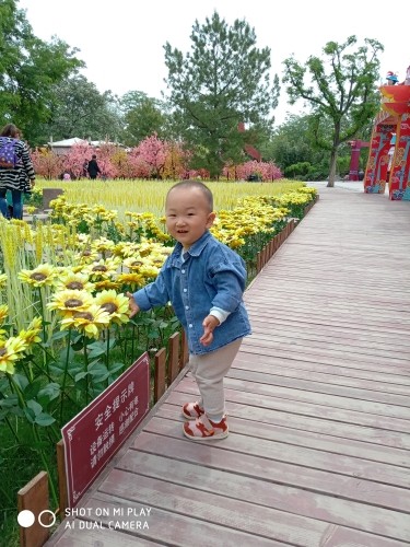 开心妍家军的图片