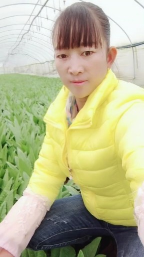 好想停留在梦里