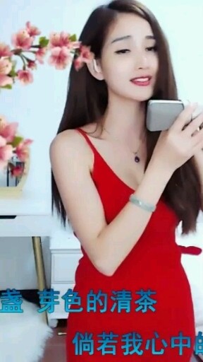 半壶纱