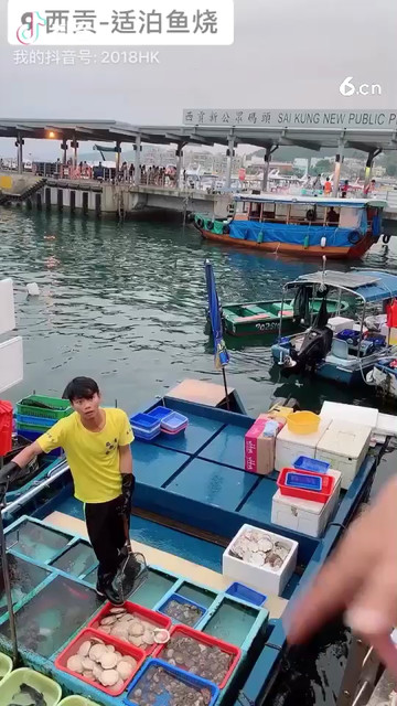 香港西贡码头买海鲜
