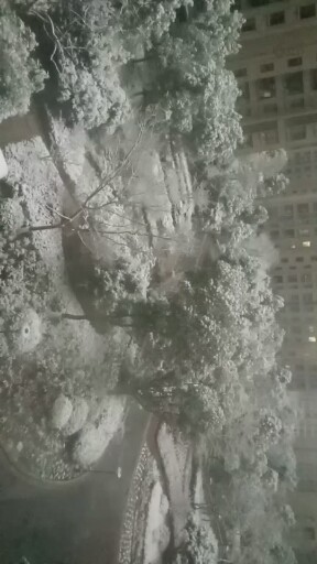 上海的雪，这是早上六点半拍的，